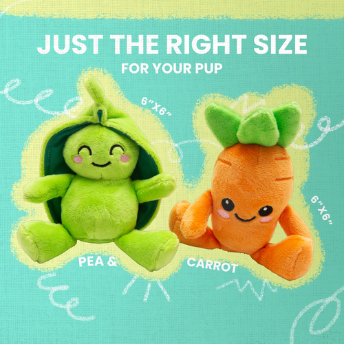Snugarooz Carrot and Pea Dog Toy