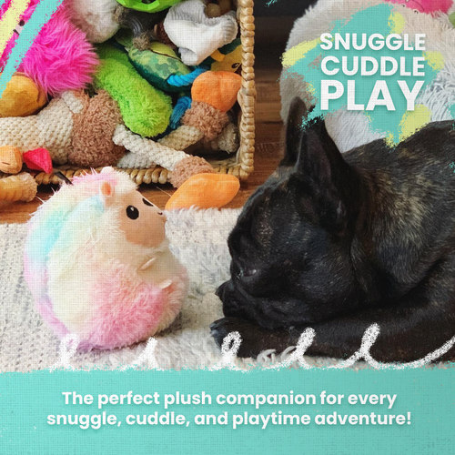 Snugarooz Carrot and Pea Dog Toy