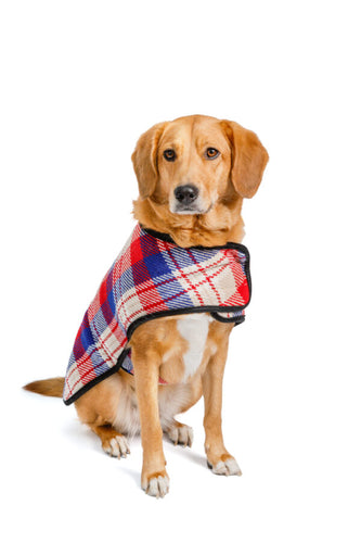 Chilly Dog Red Field Dog Blanket Coat