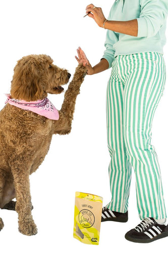 Winnie Lou Turkey Jerky Dog Treats