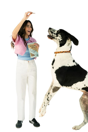 Winnie Lou Sweet Potato & Lamb Crisps Dog Treats