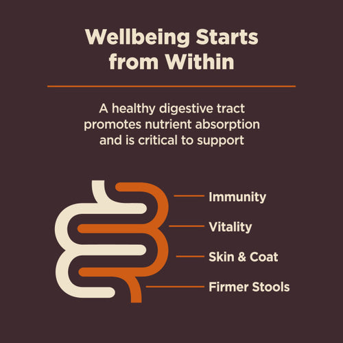 Wellness CORE Digestive Health Chicken & Brown Rice Dog Food