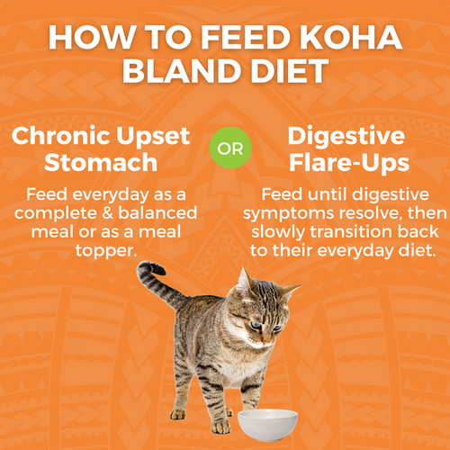 Koha Limited Ingredient Bland Diet Wet Food Chicken & Rice Recipe for Cats