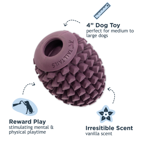 Tall Tails Natural Rubber Pinecone Reward Dog Toy
