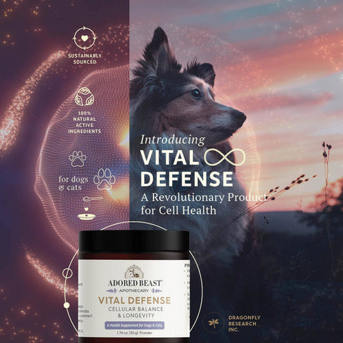 Adored Beast Vital Defense | Cellular Support