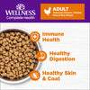 Wellness Complete Health Grained Deboned Chicken Recipe Dry Cat Food