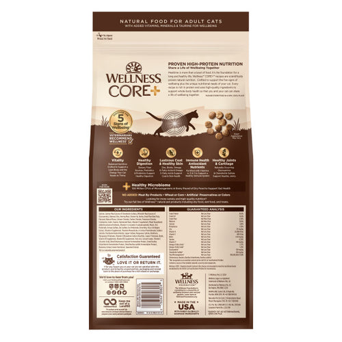 Wellness CORE® Digestive Health with Wholesome Grains Salmon & Rice Dry Cat Food