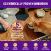Wellness Complete Health Natural Kitten Grain Free Deboned Chicken and Chicken Meal Dry Cat Food