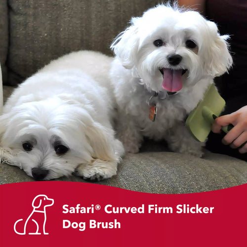 Coastal Pet Products Safari by Coastal Curved Firm Slicker Dog Brush