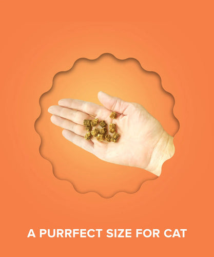 Plato Chicken Cat Treats