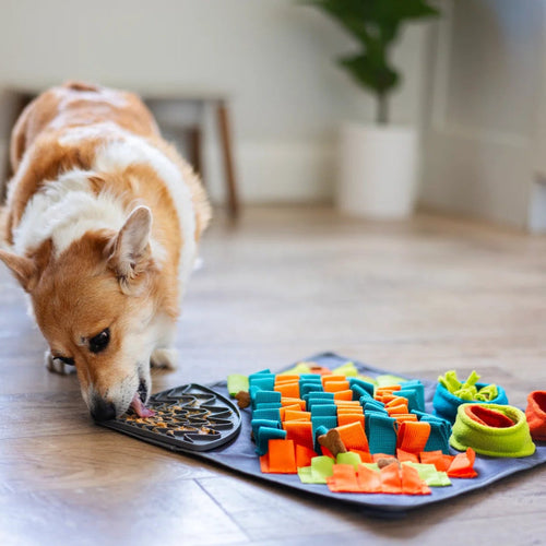 Messy Mutts Square Forage/Snuffle Mat plus Lick Mat, 16 x 16
