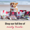 The Honest Kitchen Gourmet Chicken Liver & Cheddar Chips Dog Treats
