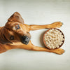 Weruva Feeling Farmy Freeze Dried with Chicken Breast, Egg & Pumpkin Dog Food