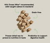 Open Farm Salmon & Mackerel Kitty Cube Treats for Cats