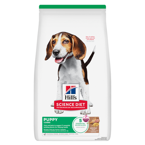 Hill's Science Diet Puppy Lamb Meal & Brown Rice Recipe Dry Dog Food
