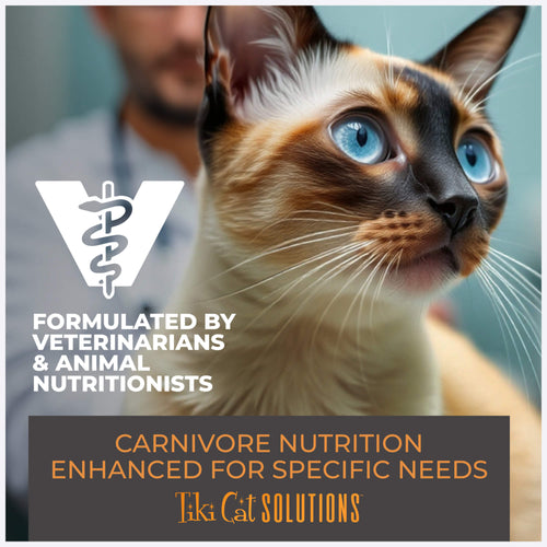 Tiki Cat™ Solutions™ Mobility Baked Kibble Chicken & Turkey Recipe