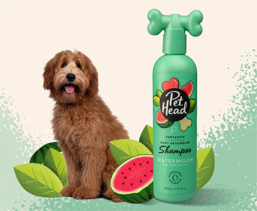Pet Head Furtastic Knot Detangler Shampoo for Dogs Watermelon with Shea Butter