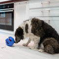 KONG Rewards Wrapz Dog Toy