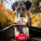 Natural Farm 12 Inch Power Bully Sticks Dog Treats