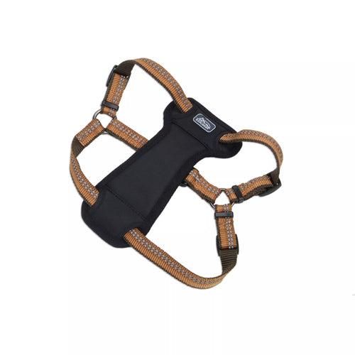 Coastal K9 Explorer Reflective Adjustable Padded Dog Harness