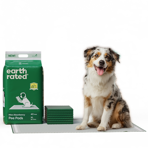 Earth Rated Max Absorbency Training Dog Pee Pads