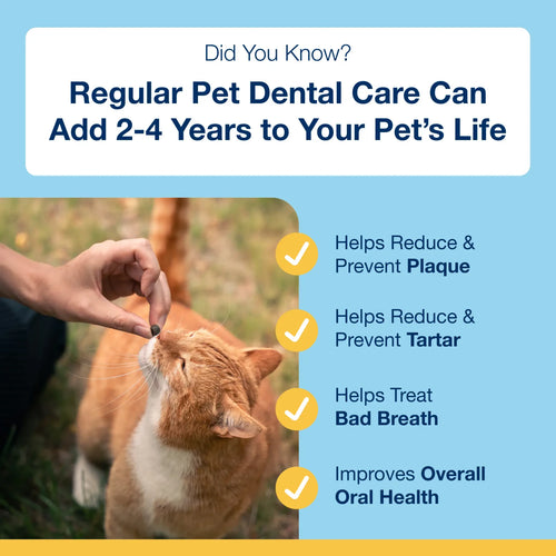 ProDen PlaqueOff® Holistic Soft Bites - Oral Care with Gut & Immune Support Sweet Potato and Pumpkin Flavor