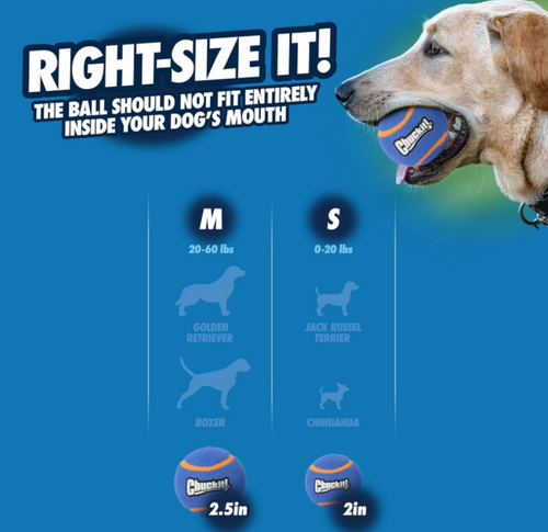 Chuckit! Squeaker Tennis Ball 2 Pack Dog Toys