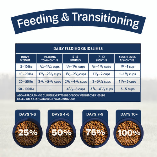 Natural Balance Puppy Chicken, Brown Rice & Pumpkin Recipe