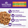 Wellness Complete Health Natural Grain Free Wet Cat Food Variety Pate Recipes Chicken & Turkey Lovers (3 oz case of 12)