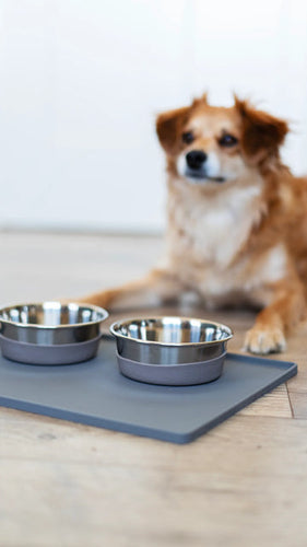 Messy Mutts Silicone Non-Slip Pet Bowl Mat with Raised Edge (16