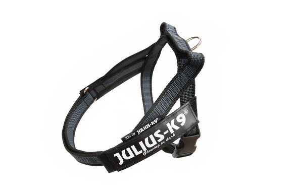 Julius-K9 IDC® Color & Gray® Belt Harness