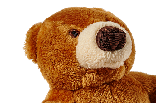 Fluff & Tuff Cubby Bear Toy