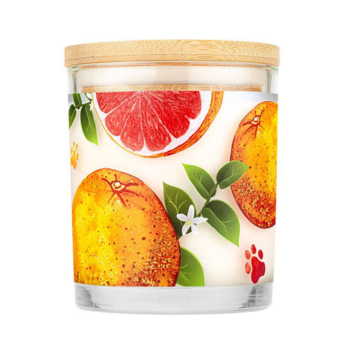 Pet House Ruby Red Grapefruit Candle