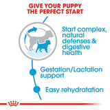 Royal Canin Small Breed Starter Babydog & Mother Dry Dog Food