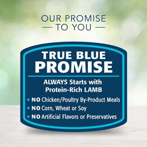 Blue Buffalo Freedom Grain Free Beef Recipe Canned Dog Food