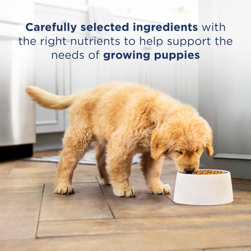 Natural Balance L.I.D. Limited Ingredient Diets Salmon & Brown Rice Puppy Formula Dry Dog Food