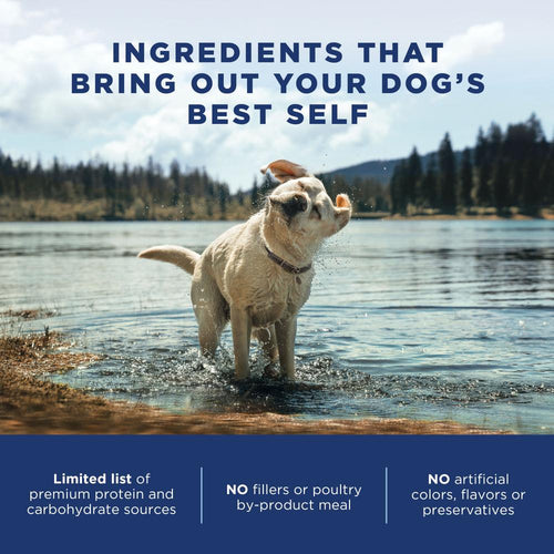 Natural Balance L.I.D. Limited Ingredient Diets Salmon & Brown Rice Puppy Formula Dry Dog Food