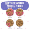 Weruva B.F.F. PLAY PATÉ! Tuna & Beef Blast Off! Dinner in a Hydrating Purée Wet Cat Food