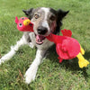 KONG Shakers Bobz Rooster Dog Toy (Medium)