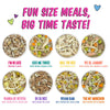 Weruva BFF Meals Fun Size Sampler! Variety Pack Dog Wet Food
