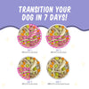 Weruva BFF Meals Fun Size Sampler! Variety Pack Dog Wet Food
