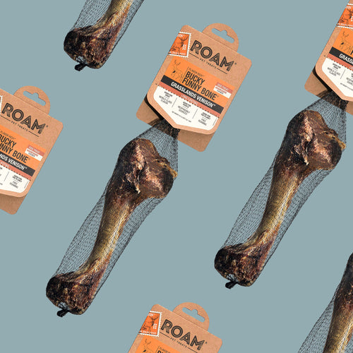 ROAM® Bucky Funny Bone™ Dog Treat