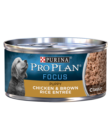 Purina Pro Plan FOCUS Puppy Chicken & Brown Rice Entrée Classic Wet Dog Food