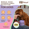 Natural Dog Company Aller-Immune Supplement Dog Chews (90 ct)