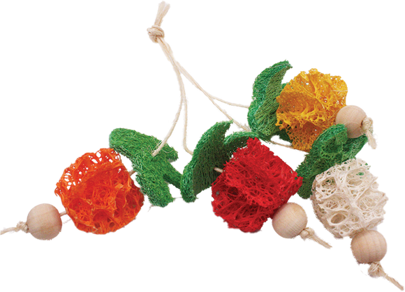 A & E Cage Loofah Bunch of Fruits Small Animal Toy
