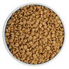 BIXBI Rawbble® Dry Food for Dogs – Turkey Recipe (24 lb)