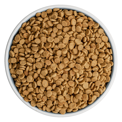 BIXBI Rawbble® Dry Food for Dogs – Turkey Recipe (24 lb)