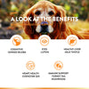 NaturVet Senior Advance 5-in-1 Support Soft Chews for Dogs