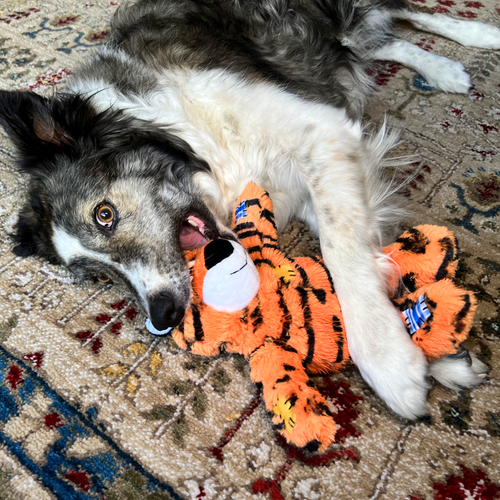 KONG Wild Knots Tiger Dog Toy (Medium/Large)