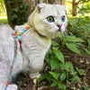Coastal Pet Figure H Fashion Adjustable Cat Harness and Leash Combo